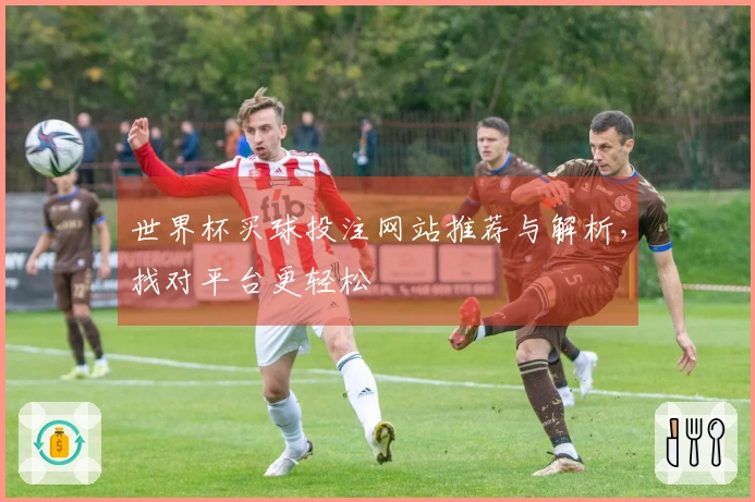 世界杯买球投注网站推荐与解析，找对平台更轻松