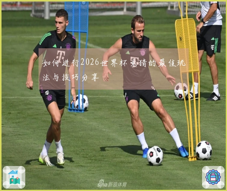 如何进行2026世界杯竞猜的最佳玩法与技巧分享
