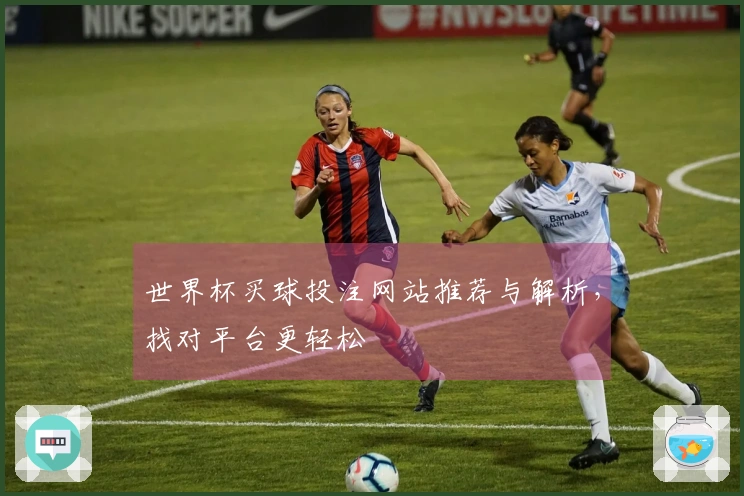 世界杯买球投注网站推荐与解析，找对平台更轻松