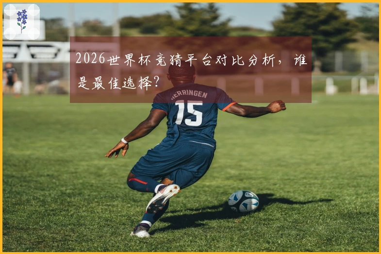 2026世界杯竞猜平台对比分析，谁是最佳选择？