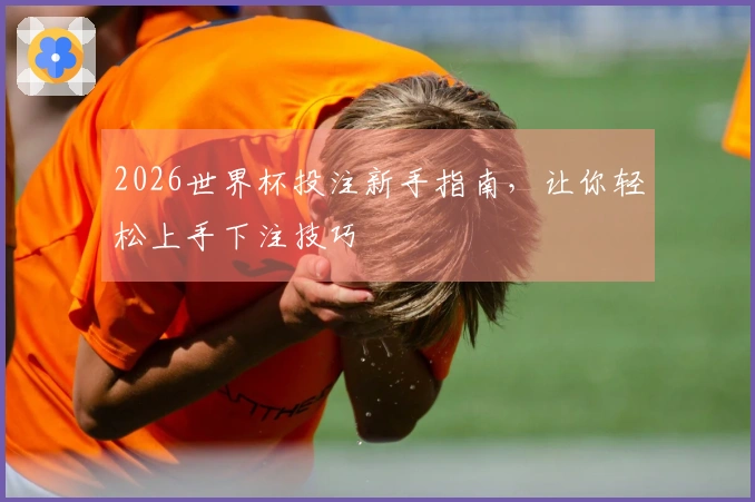2026世界杯投注新手指南，让你轻松上手下注技巧
