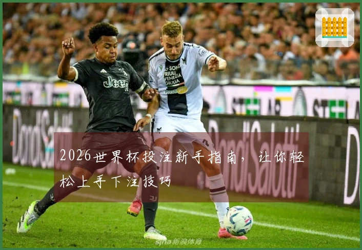 2026世界杯投注新手指南，让你轻松上手下注技巧